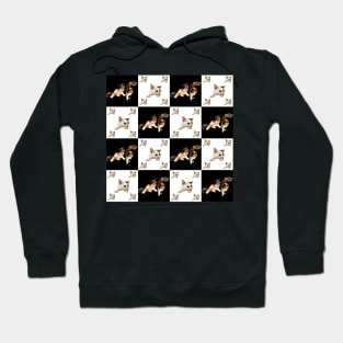 cat pattern on black and white square Hoodie